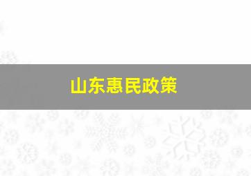 山东惠民政策