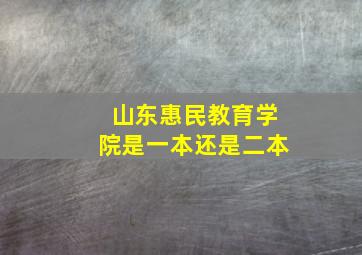 山东惠民教育学院是一本还是二本