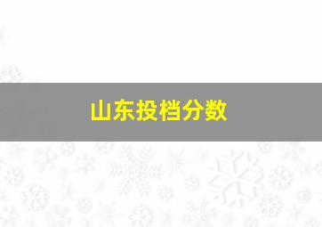 山东投档分数