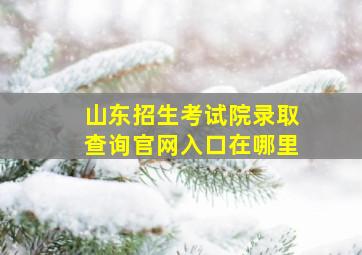 山东招生考试院录取查询官网入口在哪里