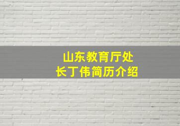 山东教育厅处长丁伟简历介绍