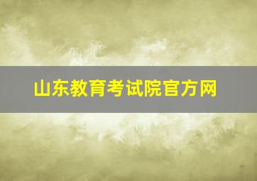 山东教育考试院官方网