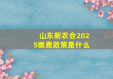 山东新农合2025缴费政策是什么