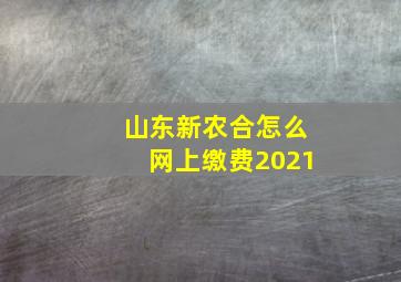 山东新农合怎么网上缴费2021