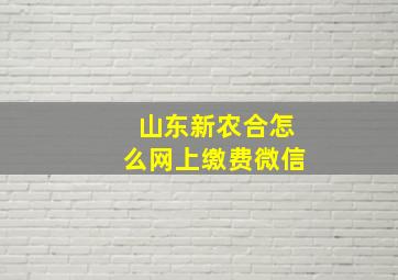 山东新农合怎么网上缴费微信