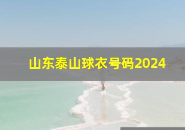 山东泰山球衣号码2024