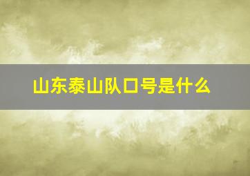 山东泰山队口号是什么