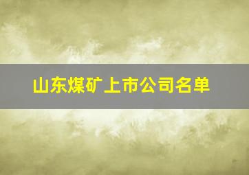 山东煤矿上市公司名单