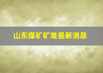 山东煤矿矿难最新消息