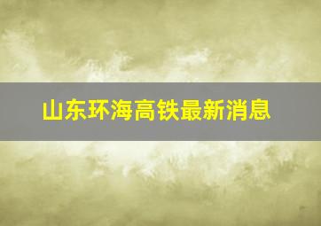 山东环海高铁最新消息