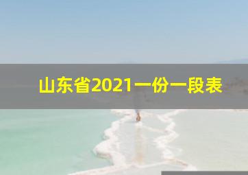 山东省2021一份一段表