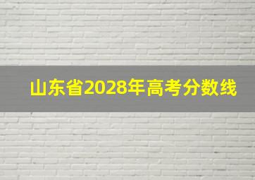 山东省2028年高考分数线