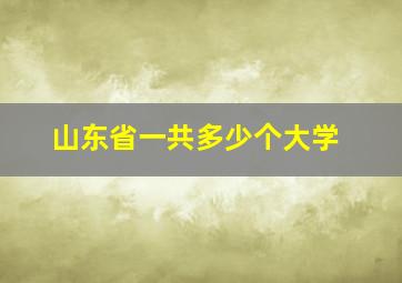 山东省一共多少个大学