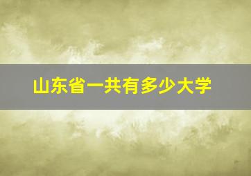 山东省一共有多少大学