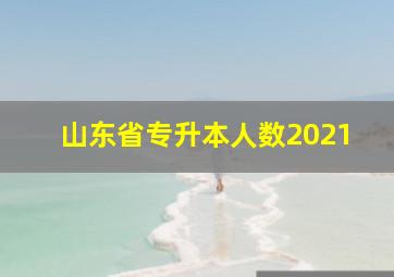 山东省专升本人数2021