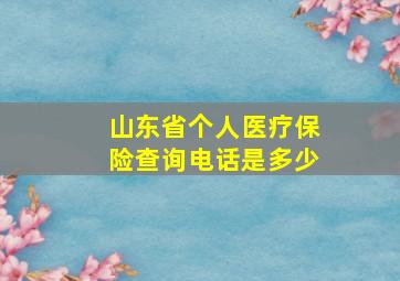 山东省个人医疗保险查询电话是多少