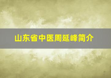 山东省中医周延峰简介