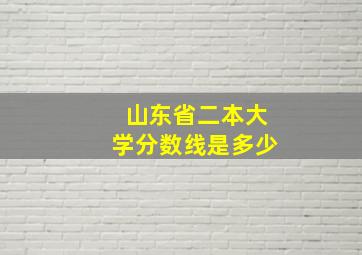 山东省二本大学分数线是多少