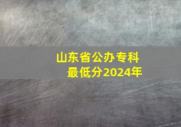 山东省公办专科最低分2024年