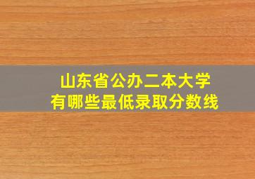 山东省公办二本大学有哪些最低录取分数线