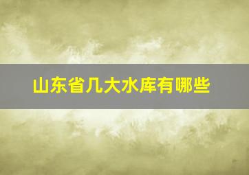 山东省几大水库有哪些