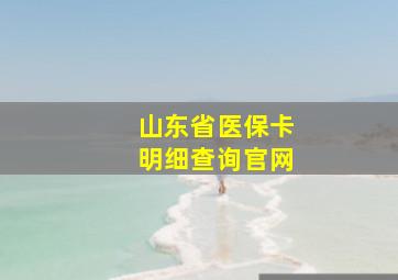 山东省医保卡明细查询官网