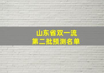 山东省双一流第二批预测名单