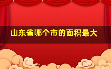 山东省哪个市的面积最大