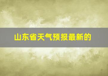 山东省天气预报最新的