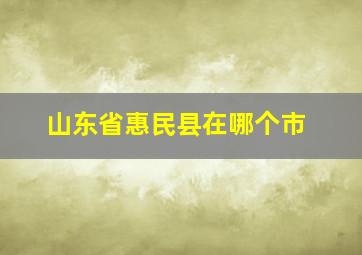 山东省惠民县在哪个市