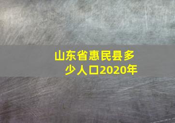 山东省惠民县多少人口2020年