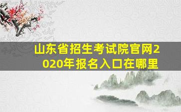 山东省招生考试院官网2020年报名入口在哪里