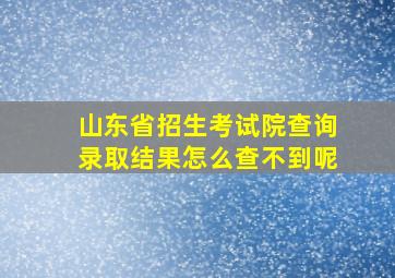 山东省招生考试院查询录取结果怎么查不到呢