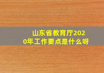 山东省教育厅2020年工作要点是什么呀