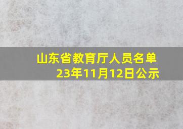 山东省教育厅人员名单23年11月12日公示