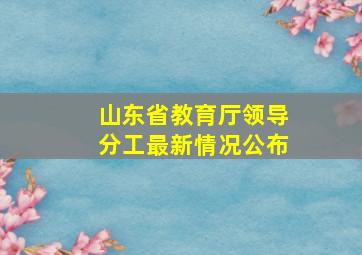 山东省教育厅领导分工最新情况公布