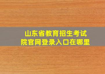 山东省教育招生考试院官网登录入口在哪里