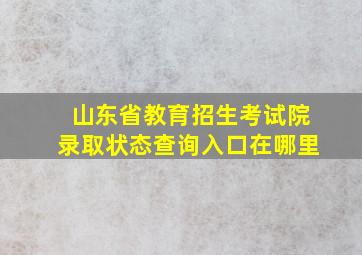 山东省教育招生考试院录取状态查询入口在哪里