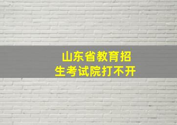 山东省教育招生考试院打不开