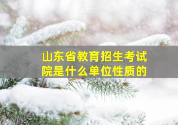 山东省教育招生考试院是什么单位性质的