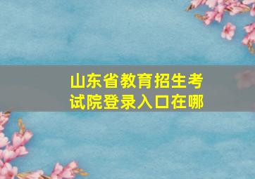 山东省教育招生考试院登录入口在哪