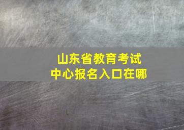 山东省教育考试中心报名入口在哪