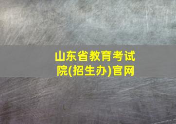 山东省教育考试院(招生办)官网