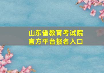 山东省教育考试院官方平台报名入口