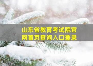 山东省教育考试院官网首页查询入口登录