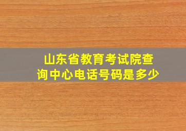 山东省教育考试院查询中心电话号码是多少