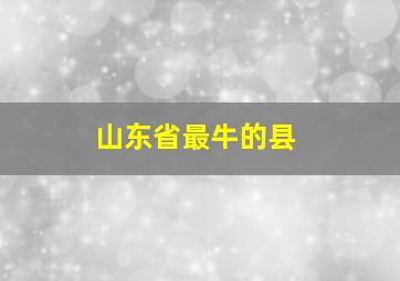 山东省最牛的县