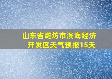 山东省潍坊市滨海经济开发区天气预报15天