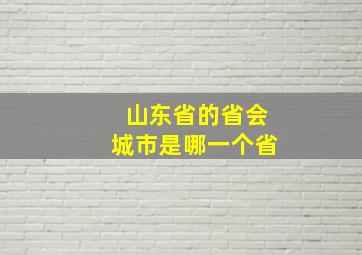 山东省的省会城市是哪一个省