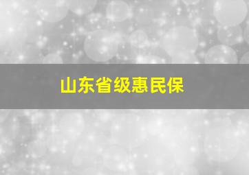 山东省级惠民保